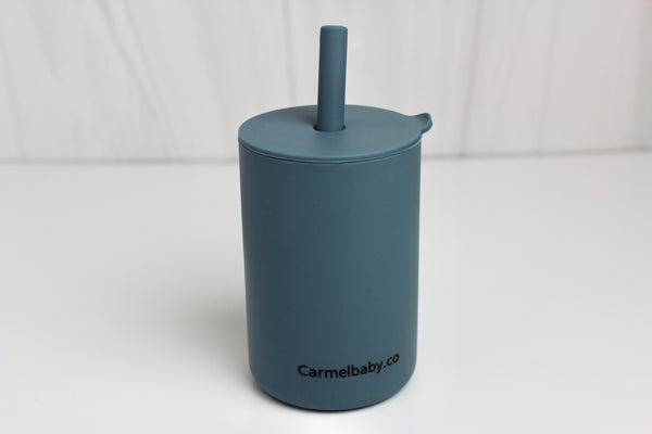 Silicone Straw Cup(Ocean)